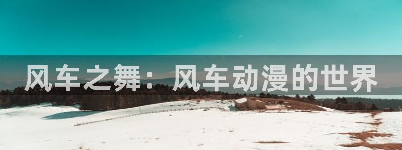 78动漫最新版本：风车之舞：风车动漫的世界