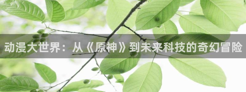 178动漫：动漫大世界：从《原神》到未来科技的奇幻冒险