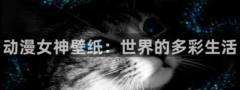 78动漫91：动漫女神壁纸：世界的多彩生活