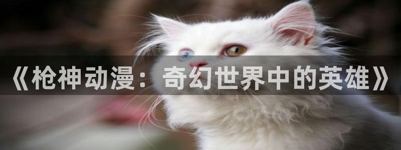 78动漫app官方正版下载：《枪神动漫：奇幻世界中的英雄》